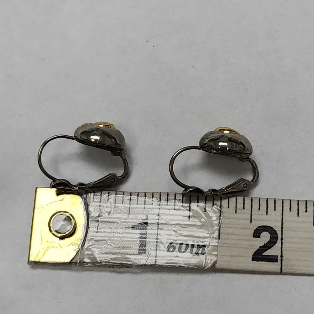Two Toned Silver Toned and Gold Toned Circle Lever Back Earrings